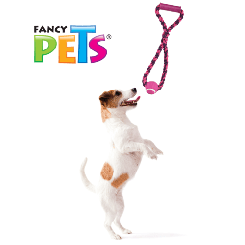 Fancy Pets - Juguete Agarradera de Cuerda con Pelota para Perro