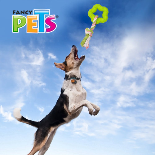 FL8514_M Fancy Pets - Juguete para Perro, Cuerda con Estrella