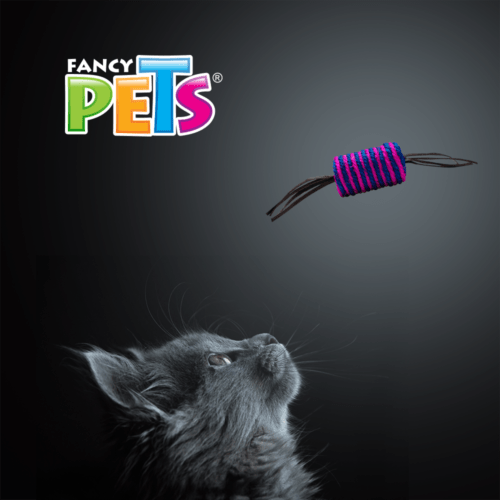 Juguete para Gatos Cilindro con Lienzos