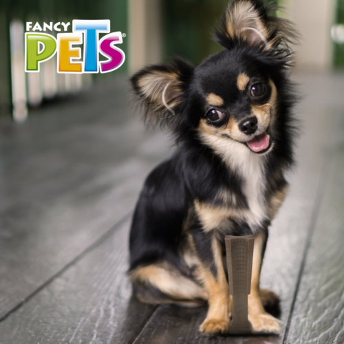 FL9323_M Fancy pets - Juguete para Perro Hueso de Bambú Sabor Carne