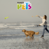 Fancy Pets - Juguete para Perro Lanzador de Pelota Tamaño Chico