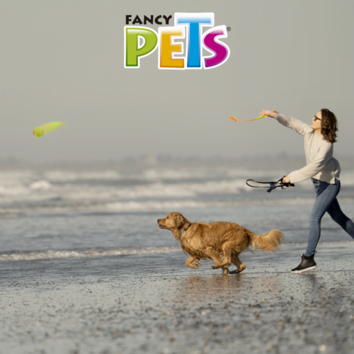 Fancy Pets - Juguete para Perro Lanzador de Pelota Tamaño Chico