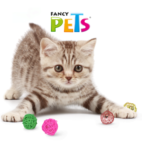 Fancy Pets - Juguete para Gatos Bola Sound 4 piezas