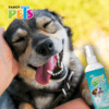 Fancy Pets - Spray Dental para Perros 125ml