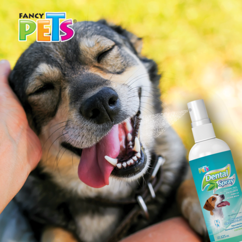 FL3774_M Fancy Pets - Spray Dental para Perros 125ml
