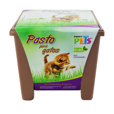 Fancy pets - Germinación de trigo Pasto para Gatos