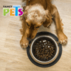 Fancy Pets - Plato para Perro de Acero Inoxidable 2.7 Kg