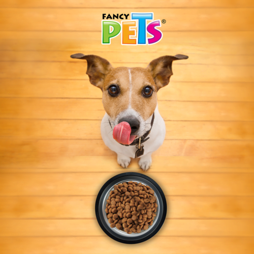 Fancy Pets - Plato para Perro Ligero de Acero Inoxidable 16 oz