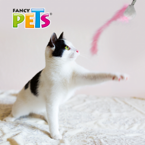 Fancy pets - Juguete para Gato Varita con Lazo de Peluche