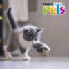 Fancy Pets - Juguete para Gato con Forma de Erizo