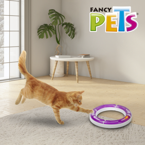 Juguete para Gato Circuito Interactivo con Pelota