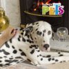 Fancy pets - Goma Limpiadora de Pelo para Perro