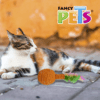 Fancy Pets - Juguete para Gato Sonaja con Plumas