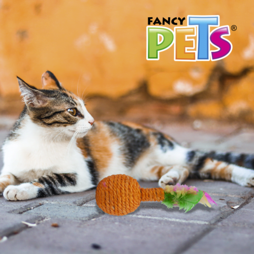 Fancy Pets - Juguete para Gato Sonaja con Plumas