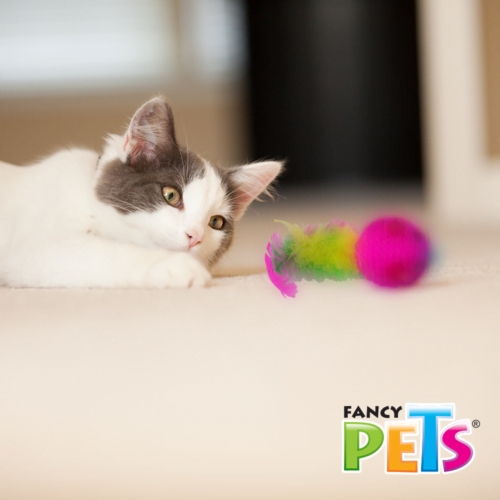 Fancy Pets - Ratoncito de Juguete con Plumas para Gatos