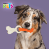 Fancy Pets - Juguete Dental para Perro con Hueso Entrelazado