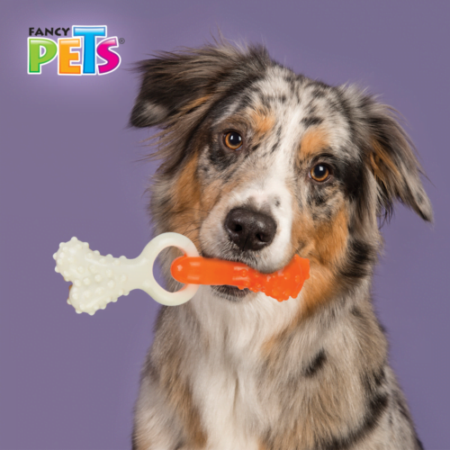 Fancy Pets - Juguete Dental para Perro con Hueso Entrelazado