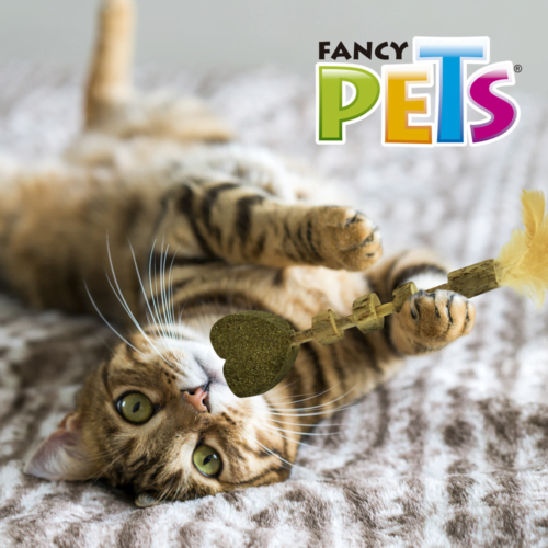 FL9192_M Fancy pets - Juguete de Catnip para Gato Varita Corazón con Pluma