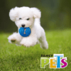 Fancy Pets - Juguete para Perro Dona Flexible con Sonido