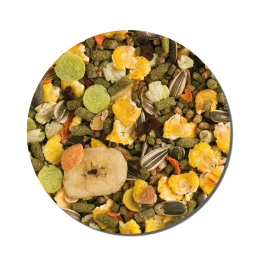 Alimento-premium-para-Chinchilla-ejem Tropifit - Alimento Premium para Chinchilla 500g