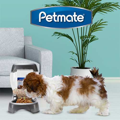 do24627_m1_3 Petmate - Dispensador de comida para perros Pet Café 1.5kg