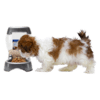 Petmate - Dispensador de comida para perros Pet Café 1.5kg