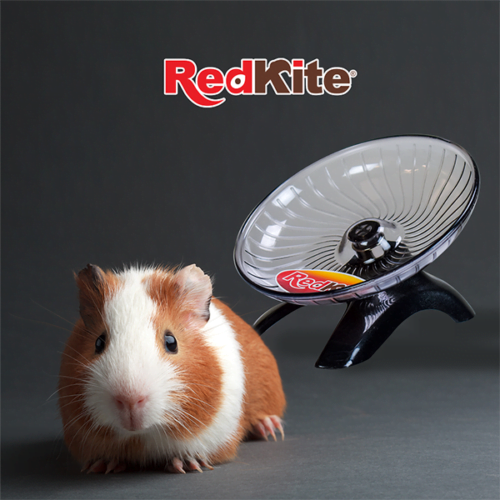 Redkite - Juguete para Hámster Disco Ejercitador