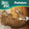 Fancy pets - Pañales para Perro Tamaño Grande 12 Piezas