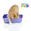 Fancy Pets - Arena para Gatos 10kg