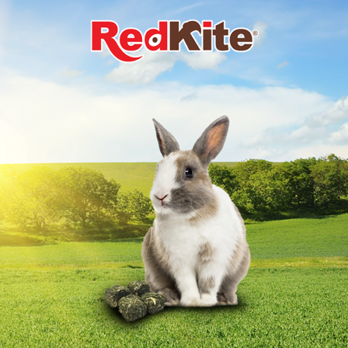 Redkite - Cubos de Alfalfa Select 500g