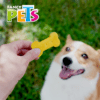 Fancy Pets - Galletas para Perros Yummy Premios Sabor Queso