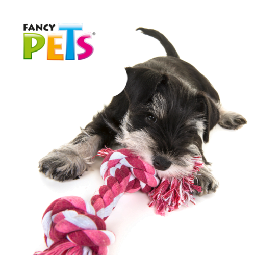 Fancy Pets - Juguete Hueso Trenzado para Perros