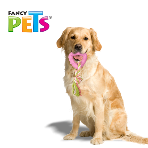 Fancy Pets - Juguete para Perro Cuerda con Triangulo de Caucho