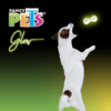 Fancy Pets - Juguete para Perro Pesa Glow Brilla en la Oscuridad