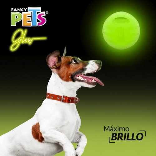 Fancy Pets - Pelota para Perro Glow Juguete Luminiscente