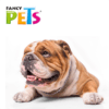 Fancy Pets - Collar de Entrenamiento para Perros 55cm