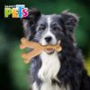 Fancy Pets - Juguete de Bambú para Perro Hueso Triple Sabor Tocino
