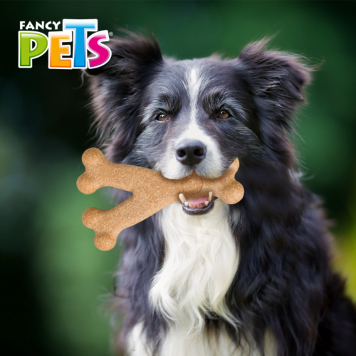 FL9307_M Fancy Pets - Juguete de Bambú para Perro Hueso Triple Sabor Tocino