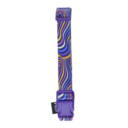 Fancy Pets, Collar para Perros Aqua Pop