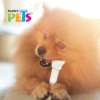 Fancy Pets - Carnaza Dental Premios para Perros 2 Piezas