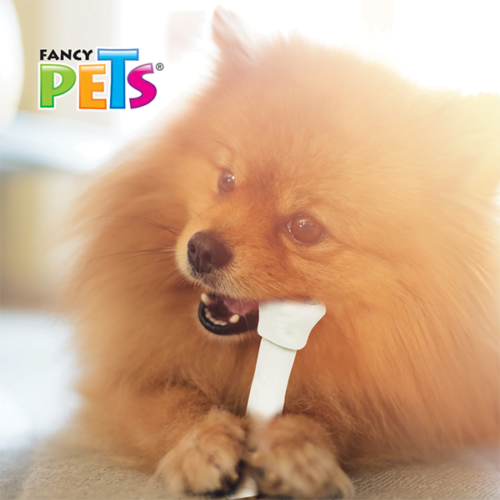 fl3714_m_3 Fancy Pets - Carnaza Dental Premios para Perros 2 Piezas