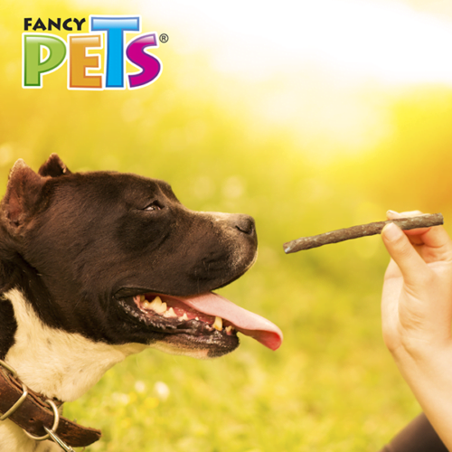 fl3743-20_m_3 Fancy Pets - Premios para Perros Palitos de Carnaza Sabor Res 20 piezas