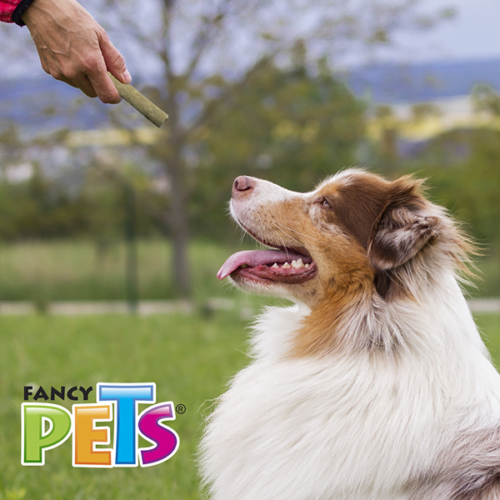 Fancy Pets - Carnaza para Perros Premios Palitos de Colores