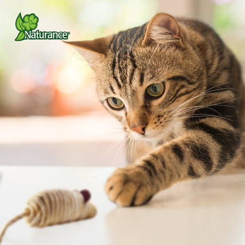 fl8233_m_3 Fancy Pets - Juguete para Gatos Ratón Ecoplay 2 piezas