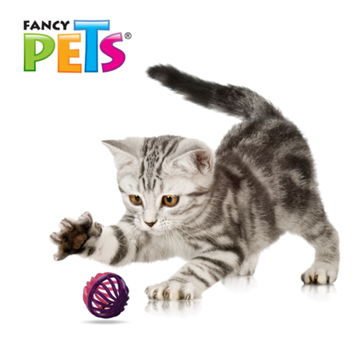 fl8249_m_3 Fancy Pets - Pelotas de colores para Gatos 4 piezas