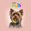 Fancy Pets - Juguete para Perros Aro Tricolor de Caucho para Morder