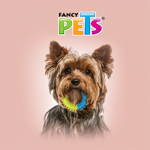 Fancy Pets - Juguete para Perros Aro Tricolor de Caucho para Morder
