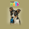 Fancy pets - Juguete para Perro con Forma de Chupón
