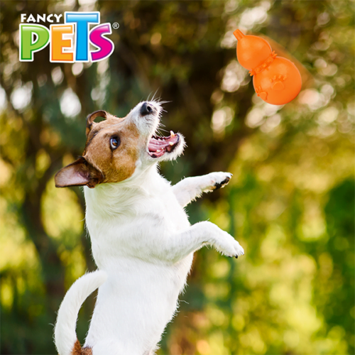 Fancy Pets - Juguete para Perros Pera de Caucho