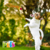 Fancy Pets - Juguete para Perro Jaladera con Pelota